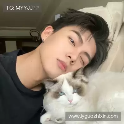 云维燕